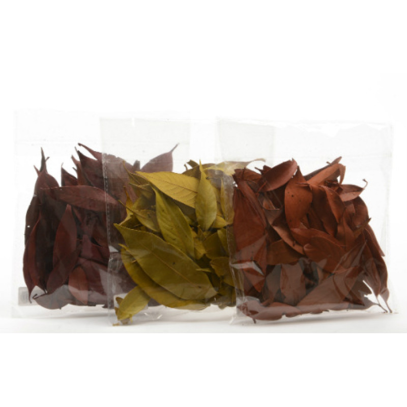 Lumineo Natural  Decorations Dried Leaves Available in Three Colours